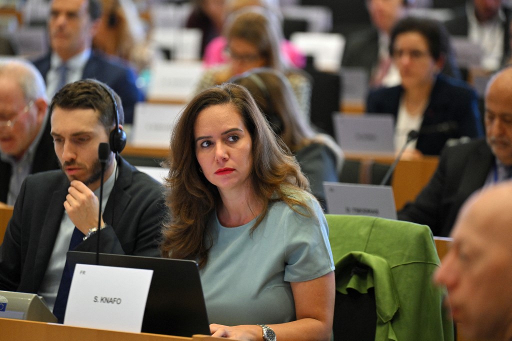 Titre: Sarah Knafo : Le Gouvernement Réagit Face à Ses Dénonciations sur l’Aide au Développement